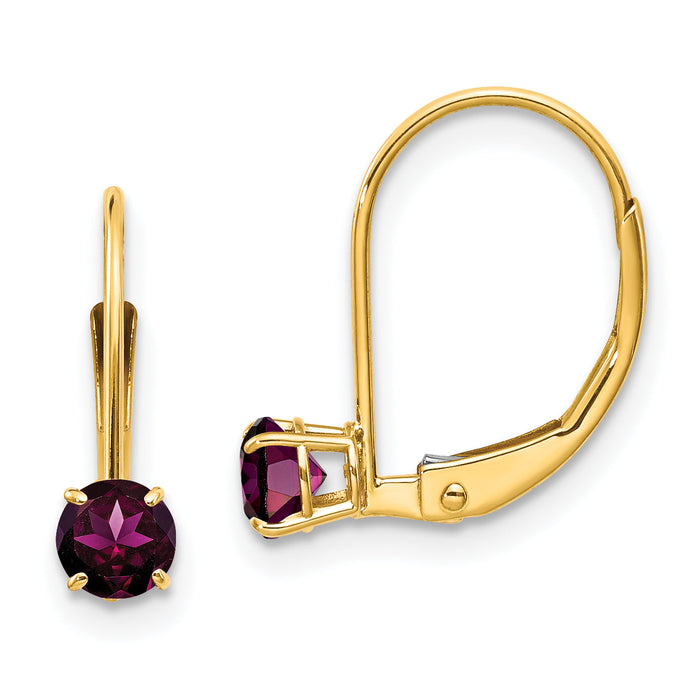 14k 4mm Round June/Rhodolite Leverback Earrings-XBE78
