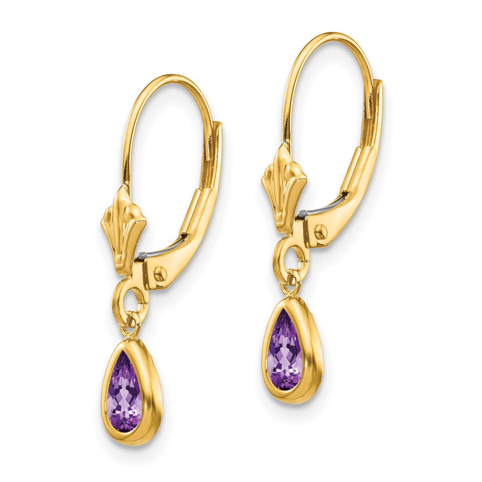 14k 6x4mm Amethyst/February Earrings-XBE86