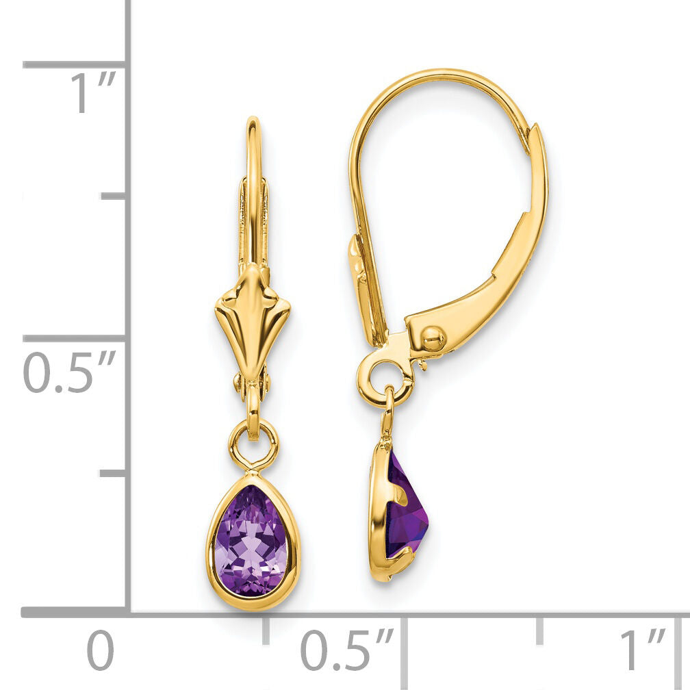 14k 6x4mm Amethyst/February Earrings-XBE86