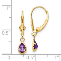 14k 6x4mm Amethyst/February Earrings-XBE86