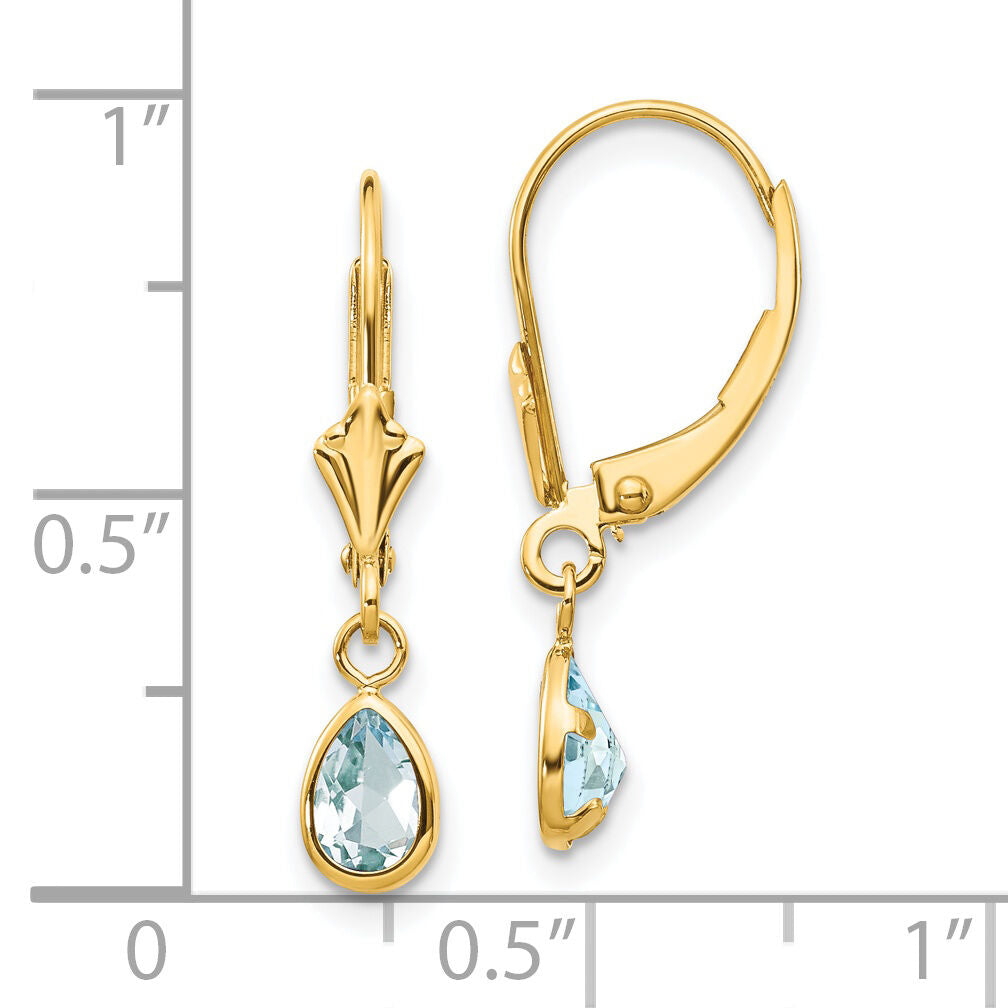 14k 6x4mm March/Aquamarine Earrings-XBE87