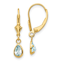 14k 6x4mm March/Aquamarine Earrings-XBE87
