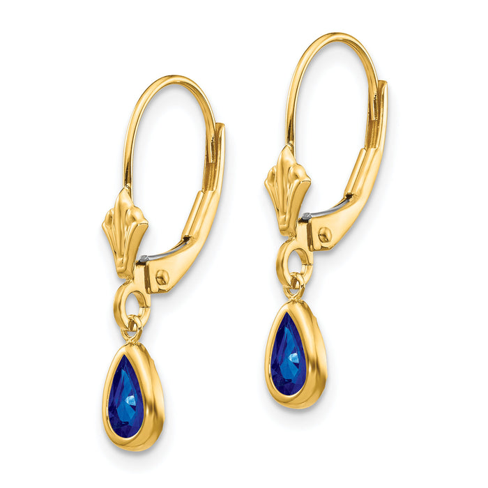 14k 6x4mm September/Sapphire Earrings-XBE93