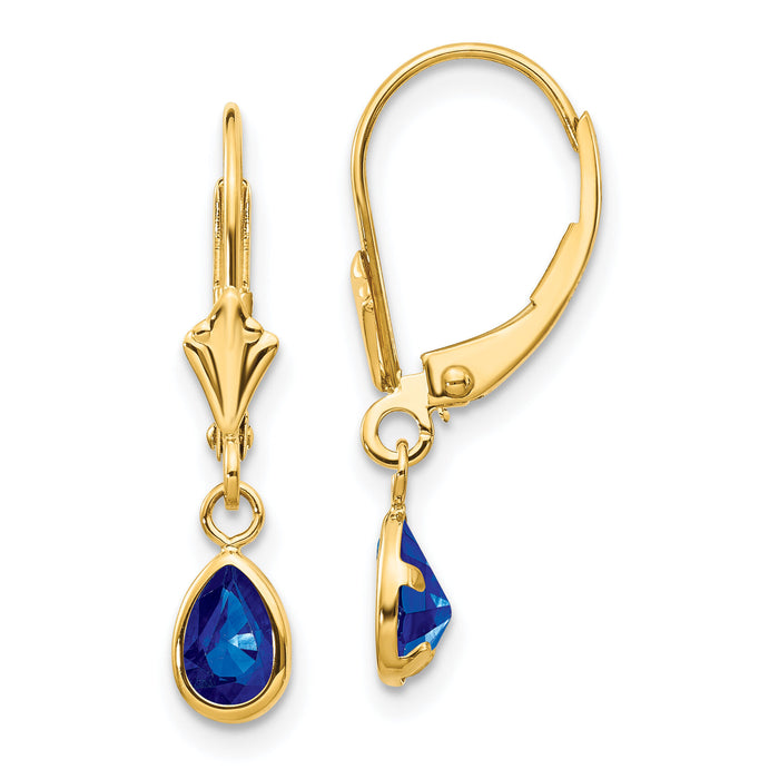 14k 6x4mm September/Sapphire Earrings-XBE93