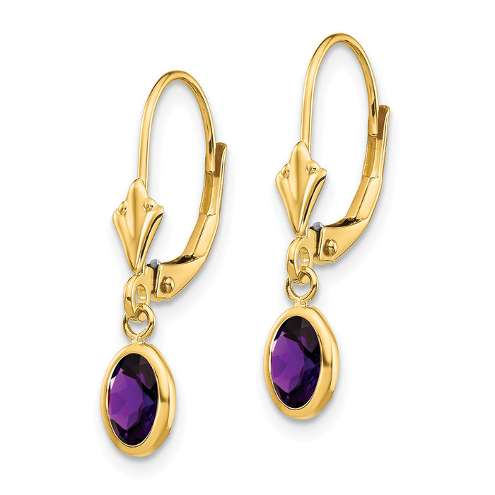 14k 6x4mm February/Amethyst Earrings-XBE98
