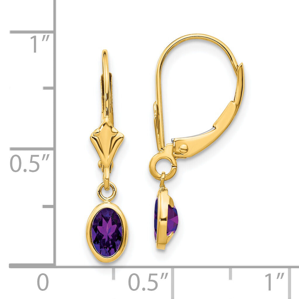 14k 6x4mm February/Amethyst Earrings-XBE98