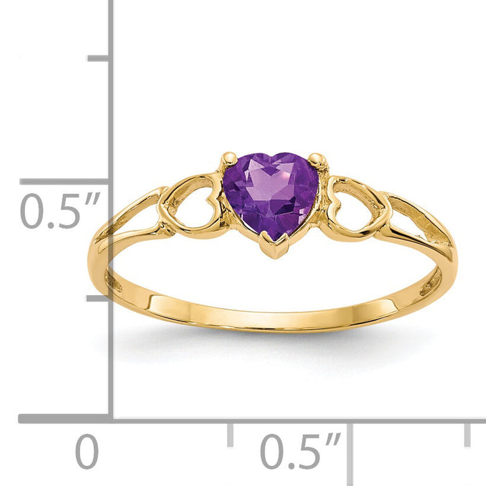14k Amethyst Birthstone Ring-XBR155