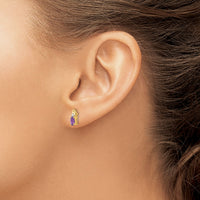 14k Amethyst and Diamond Earrings-XBS263