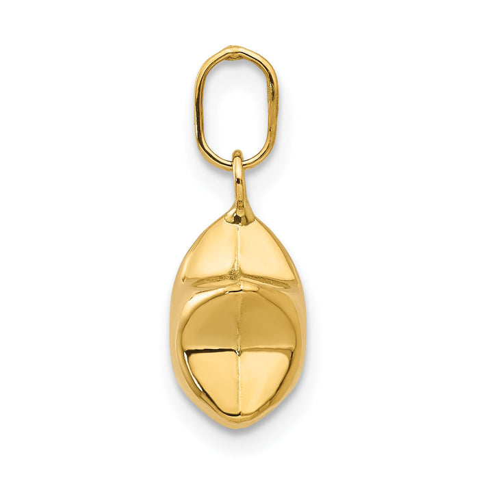 14k 3D Puffed Star Charm-XCH156