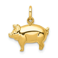 14k Pig Charm-XCH170