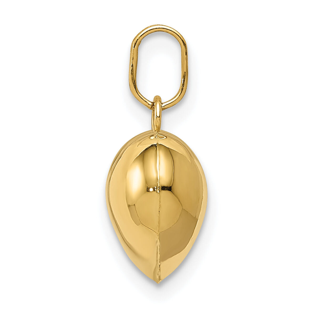 14K Polished 3-D Puffed Heart Pendant-XCH97
