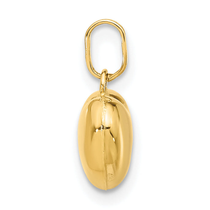14K Polished 3-D Puffed Heart Pendant-XCH99