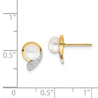 14k 5-6mm White Button FWC Pearl .01ct Diamond Post Earrings-XE1786P/A