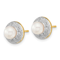 14k and Rhodium 5-6mm Button FWC Pearl .05ct Diamond Post Earrings-XE1971P/A