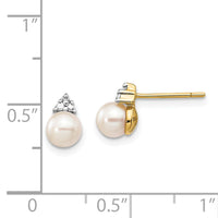 14k 5-6mm White Round FWC Pearl .01ct Diamond Post Earrings-XE2492AA