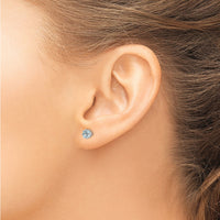14k White Gold Aquamarine Earrings-XE60WAQ-B