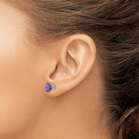 14k White Gold 8mm Amethyst Earrings-XE75WAM