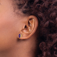 14k 7x5mm Oval Amethyst Checker Earrings-XE87AC