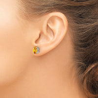 14k White Gold 8x6mm Oval Citrine Earrings-XE88WCI