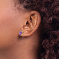 14k 9x7mm Oval Amethyst Earrings-XE89AM