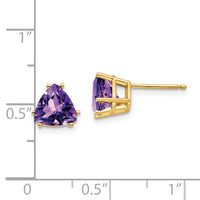 14k 7mm Trillion Amethyst Earrings-XE95AM