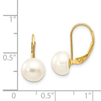 14K 8-9mm White Button Freshwater Cultured Pearl Leverback Earrings-XF247E