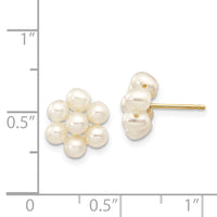 14k 3-4mm White Egg Freshwater Cultured Pearl Flower Earrings-XF298E