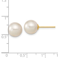 14k 9-10mm White Round Saltwater Cultured South Sea Pearl Post Earrings-XF332E