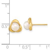 14k 5-6mm White Button Freshwater Cultured Pearl Post Earrings-XF608E