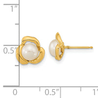 14k 5-6mm White Button Freshwater Cultured Pearl Post Earrings-XF609E
