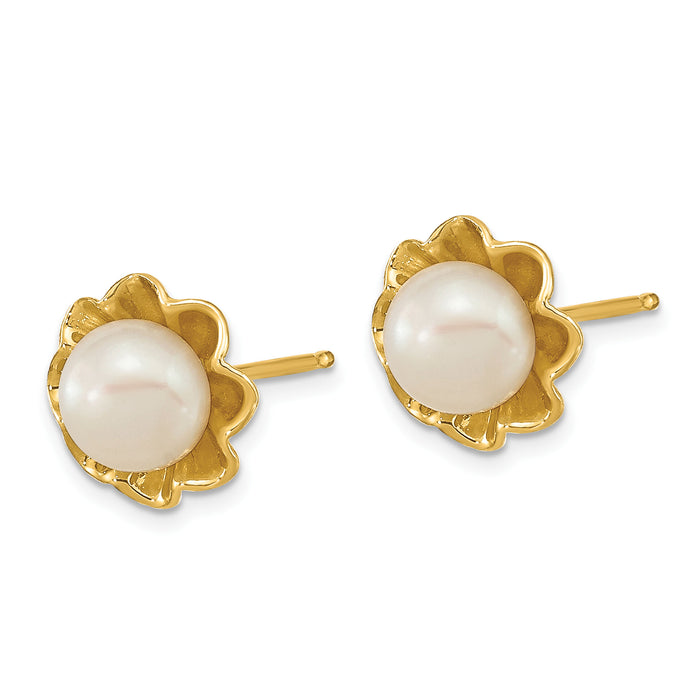 14k 5-6mm White Button Freshwater Cultured Pearl Post Earrings-XF614E