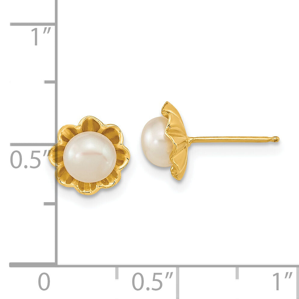14k 5-6mm White Button Freshwater Cultured Pearl Post Earrings-XF614E