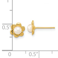 14k 3-4mm White Button Freshwater Cultured Pearl Post Earrings-XF617E