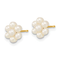 14k 2-3mm White Button Freshwater Cultured Pearl Flower Earrings-XF618E