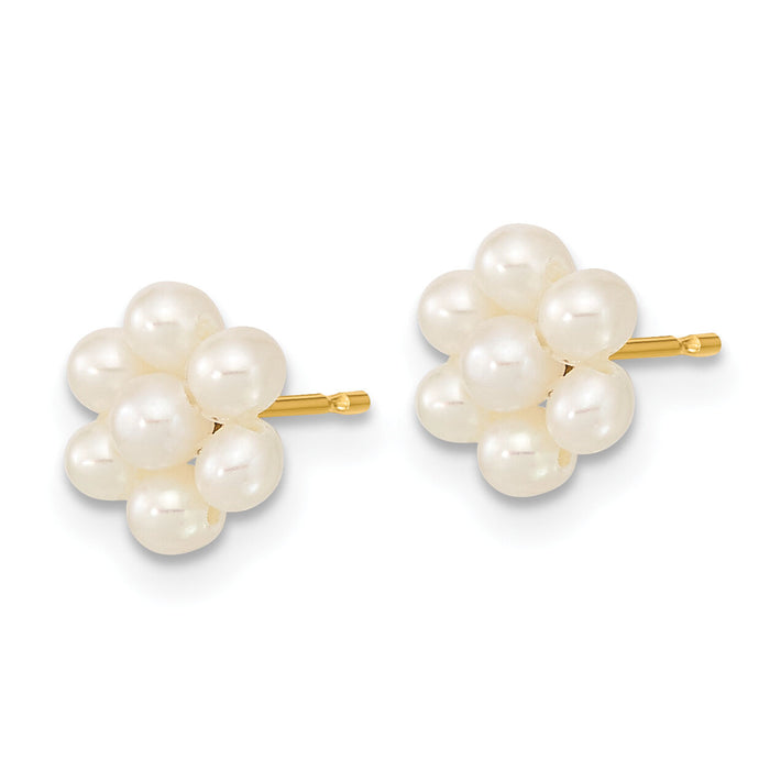 14k 2-3mm White Button Freshwater Cultured Pearl Flower Earrings-XF618E