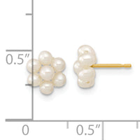 14k 2-3mm White Button Freshwater Cultured Pearl Flower Earrings-XF618E