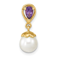 14K Gold w/ Amethyst & Freshwater Cultured Pearl Polished Chain Slide-XF642AM