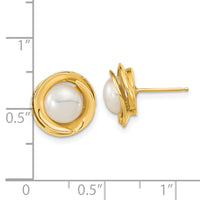 14k 6-7mm White Button Freshwater Cultured Pearl Post Earrings-XF646E