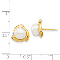 14K 7-8mm White Button Freshwater Cultured Pearl Post Earrings-XF696E