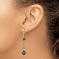 14K 5-7mm Black Rice Freshwater Cultured Pearl Leverback Earrings-XF721E
