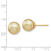 14K 10-11mm Golden Round Saltwater Cultured South Sea Pearl Post Earrings-XF743E