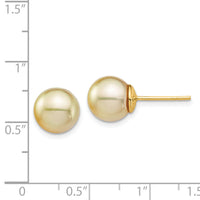 14K 9-10mm Golden Round Saltwater Cultured South Sea Pearl Post Earrings-XF744E