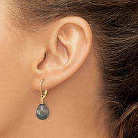 14K 8-9mm Teardrop Blk Saltwater Tahitian Pearl Leverback Earrings-XF811E
