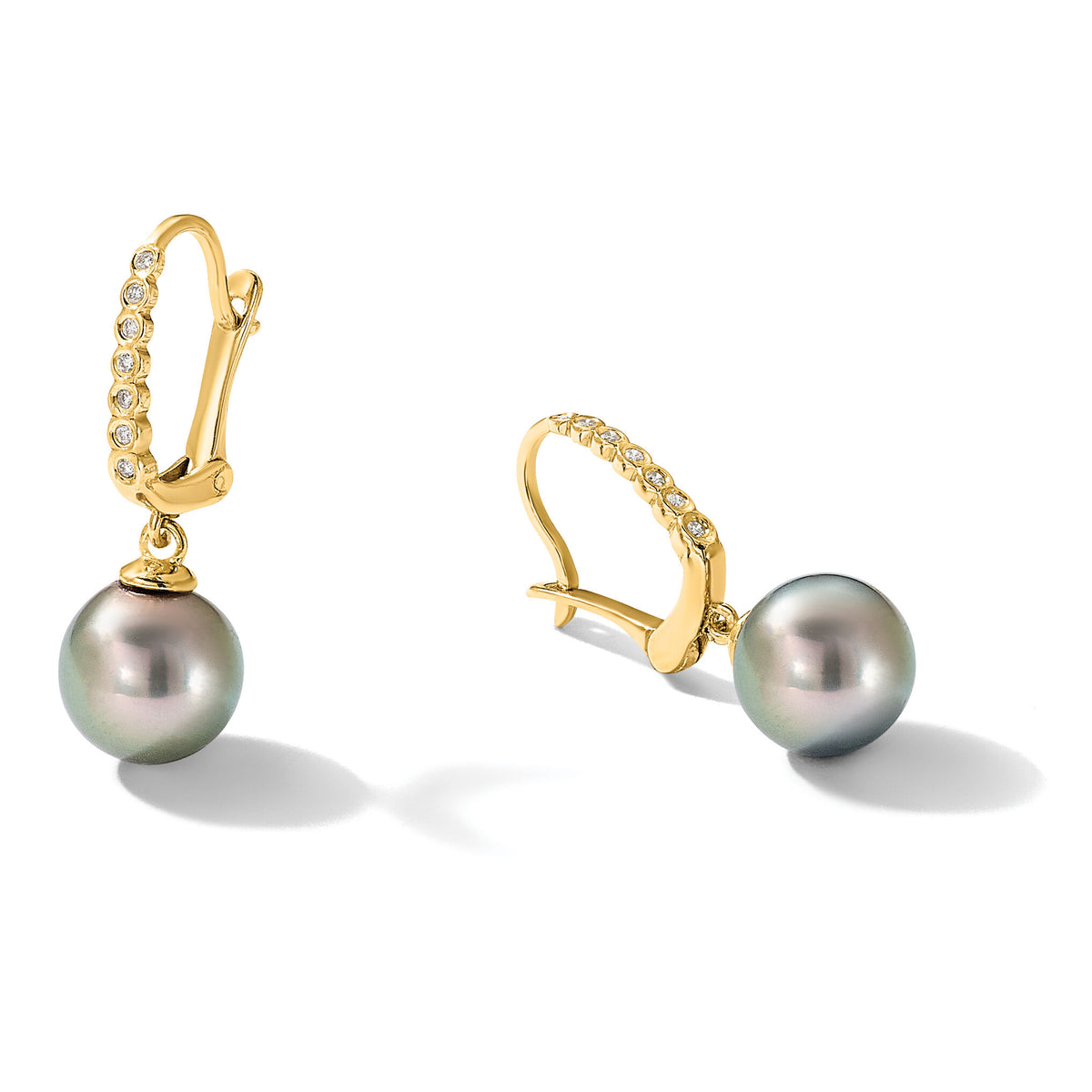 14K 8-9mm Round Black Tahitian Pearl and .07ct Diamond Dangle Earrings-XF814E