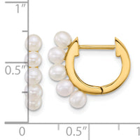 14k 3-4mm Rice South Sea Saltwater Cultured Pearl Hoop Earrings-XF864E