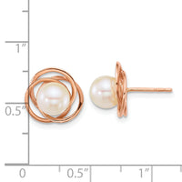 14k RG 6-7mm Rnd South Sea Saltwater Cultured Pearl Post Earrings-XF867E