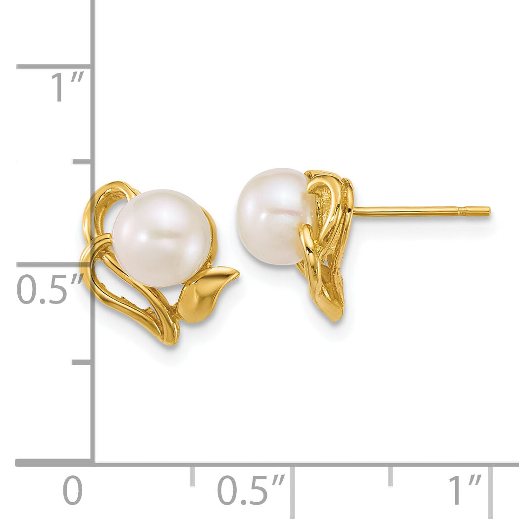 14k Polished 6-7mm Button FW Cultured Pearl Flower Post Earrings-XF893E
