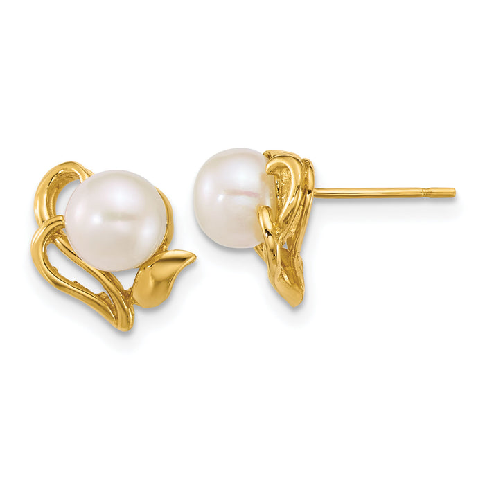14k Polished 6-7mm Button FW Cultured Pearl Flower Post Earrings-XF893E