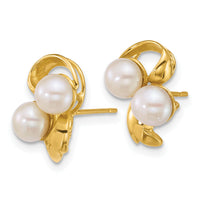 14k Polished 5-6mm Button Freshwater Cultured Pearl Post Earrings-XF894E
