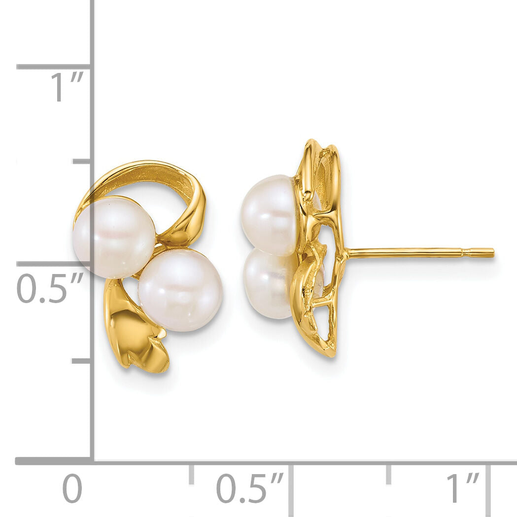 14k Polished 5-6mm Button Freshwater Cultured Pearl Post Earrings-XF894E